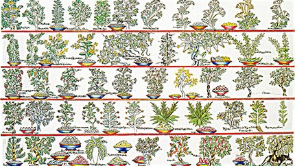 藏藥材資源分布、發(fā)展史